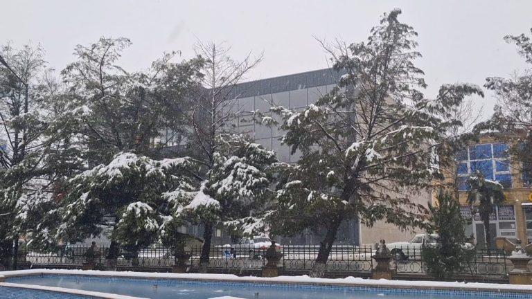 Biləsuvara mövsümün ilk qarı yağıb – FOTO